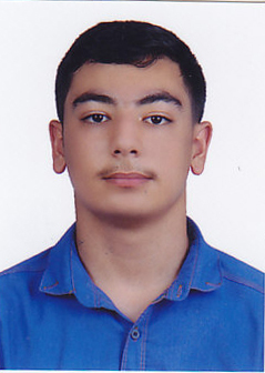 تصویر طاها محمدی